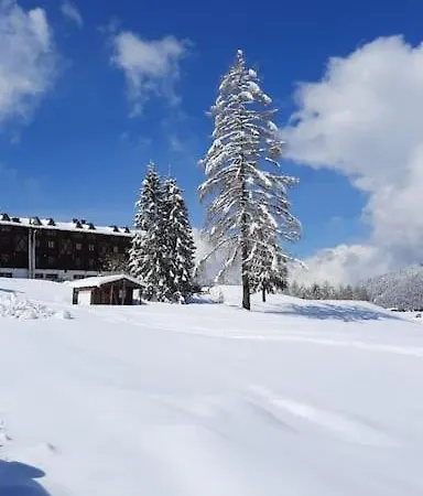 La Casa Del Cucu Al Ravascletto, 900mt From Cable Car דירה רבסקלטו