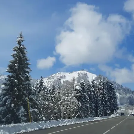 La Casa Del Cucu Al Ravascletto, 900mt From Cable Car דירה