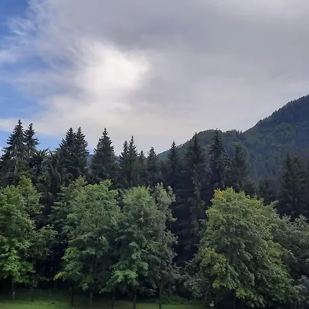 La Casa Del Cucù Al Ravascletto, 900mt From Cable Car *