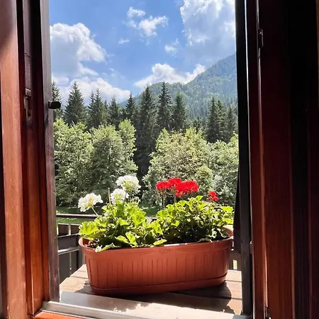 דירה La Casa Del Cucu Al Ravascletto, 900mt From Cable Car *