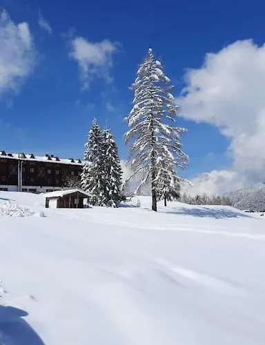 La Casa Del Cucu Al Ravascletto, 900mt From Cable Car Appartement Ravascletto