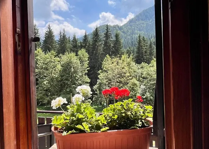 Apartman La Casa Del Cucu Al Ravascletto, 900mt From Cable Car *